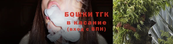 соль ск Алзамай